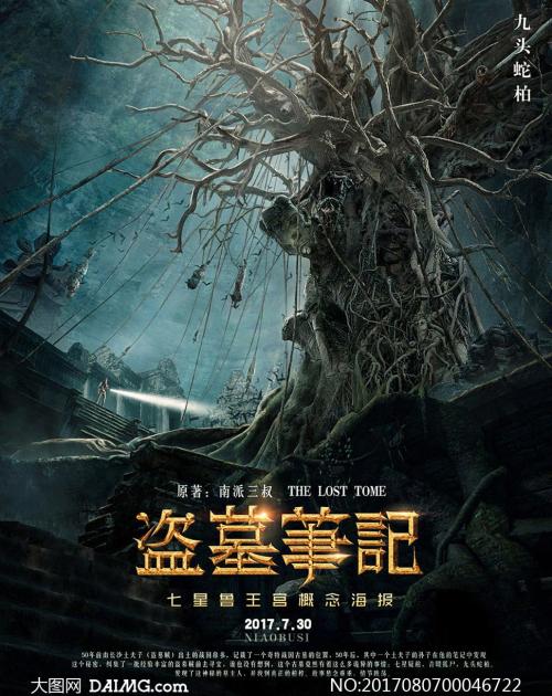 高中毕业证编号怎么写2006